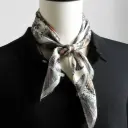 Foulard de cou Homme