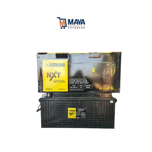 Batterie VACKSON NXT 200-12