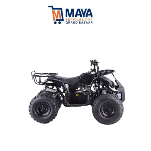 Quad mini motorisé